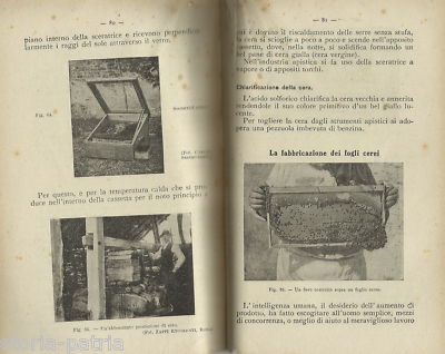 Apicoltura: Utile Manuale d'Epoca Illustrato. Api, Cera, Miele, Legislazione, Rimedi