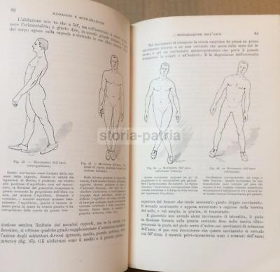 Medicina, Ortopedia, Sistema Muscolare, Ginnastica, Fisioterapia, Massaggio. Illustrato
