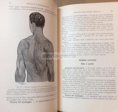 Medicina, Ortopedia, Sistema Muscolare, Ginnastica, Fisioterapia, Massaggio. Illustrato