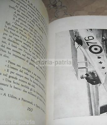 Baracchini: Biografia Dell'Asso Dell'Aviazione Flavio Torello