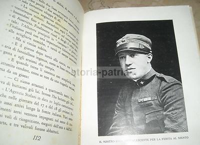 Baracchini: Biografia Dell'Asso Dell'Aviazione Flavio Torello