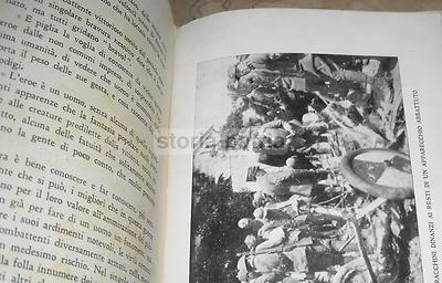 Baracchini: Biografia Dell'Asso Dell'Aviazione Flavio Torello