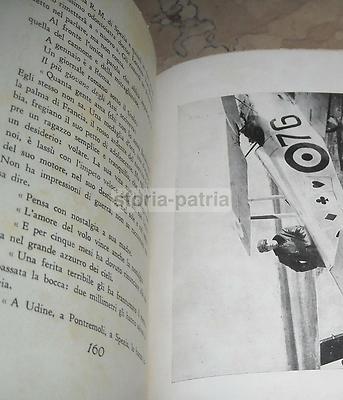 Baracchini: Biografia Dell'Asso Dell'Aviazione Flavio Torello