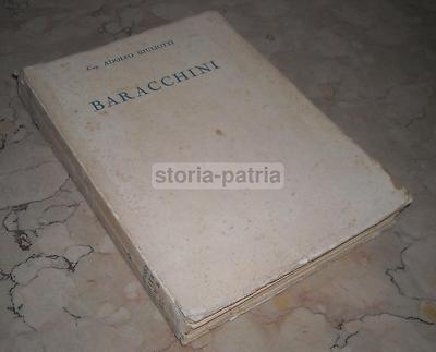 Baracchini: Biografia Dell'Asso Dell'Aviazione Flavio Torello