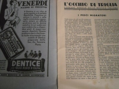 Cucina, Gastronomia, Ricettario Pesce: Triglia, Dentice, Tonnare Florio, Favignana
