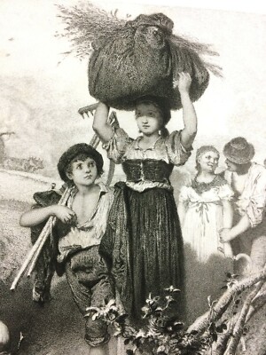 Scena Campestre Bucolica, Incisione Di Fr. Ludy Da A. Liezen Mayer, 1897