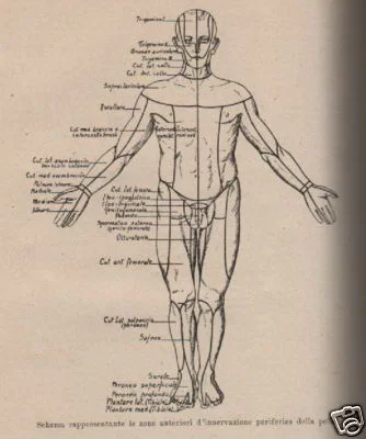Medicina Diagnostica e Semeiotica Sisto: Imponente Opera
