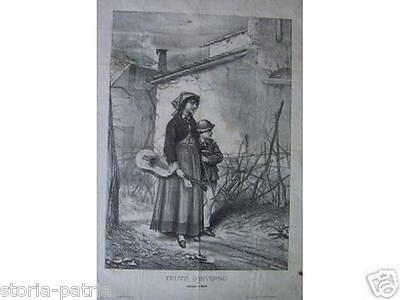 Frutti d'Inverno. Stampa Litografica Dell'Ottocento, Tofani