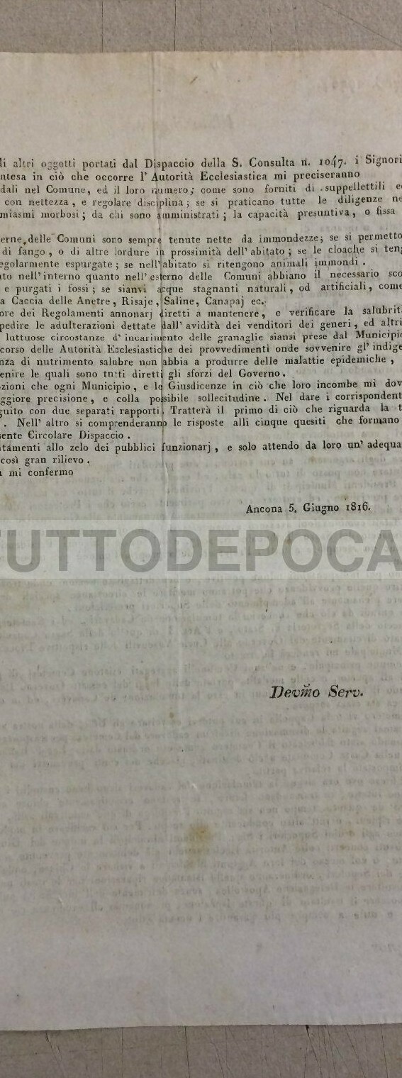 Marche, Ancona: Circolare Sulla Sanità Pubblica E Igiene, 1816