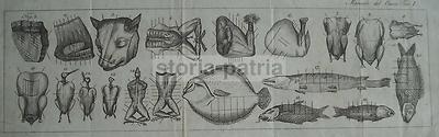 Cucina, Gastronomia, Cuoco: Preparazione Di Carne E Pesce, Tagli, Antica Incisione