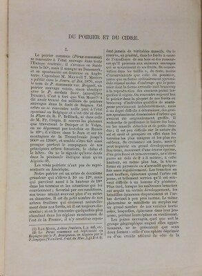 Botanica: Peri E Sidro. Joseph Decaisne E T. Wenzig. Con Tavola Illustrativa, 1881