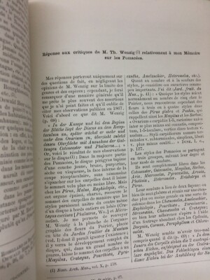 Botanica: Peri E Sidro. Joseph Decaisne E T. Wenzig. Con Tavola Illustrativa, 1881