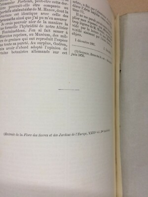 Botanica: Peri E Sidro. Joseph Decaisne E T. Wenzig. Con Tavola Illustrativa, 1881