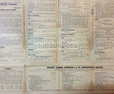 Salerno, Mercato S. Severino: Agraria E Frutticoltura Rinaldi, Listino Pubblicitario 1930