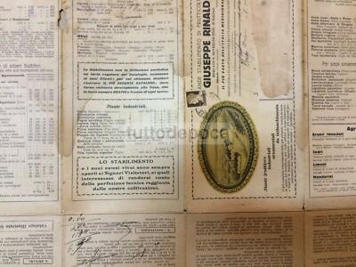 Salerno, Mercato S. Severino: Agraria E Frutticoltura Rinaldi, Listino Pubblicitario 1930