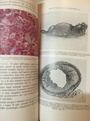 Medicina, Ostetricia E Ginecologia: Rivista Italiana Di Ginecologia, Vol. XXXVI (1953)