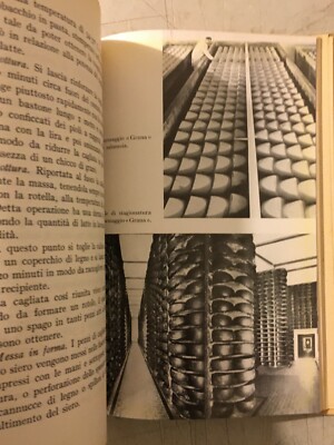 Il Casaro. Tecnico Del Latte: Latticini, Formaggi, Zootecnia
