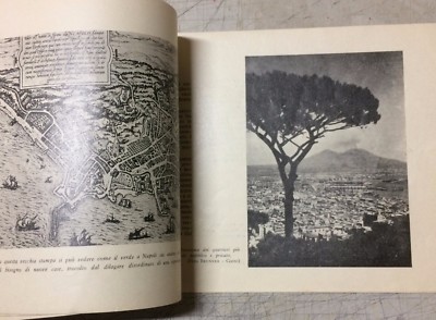 Napoli: Urbanistica, Architettura E Verde Pubblico. Illustrato d'Epoca. Domenico Andriello