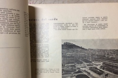 Napoli: Urbanistica, Architettura E Verde Pubblico. Illustrato d'Epoca. Domenico Andriello