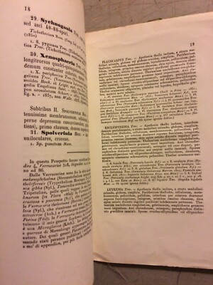 Scienze Naturali, Licheni Verrucarini, Trevisan, Bassano, 1860.