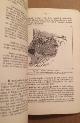 Esperienze E Nozioni Di Scienze Fisiche E Naturali