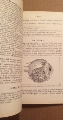 Esperienze E Nozioni Di Scienze Fisiche E Naturali