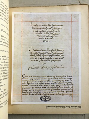 Homo   Roma, Anno 1, N. 12 (Novembre 1941). Medicina, Antropologia E Fascismo