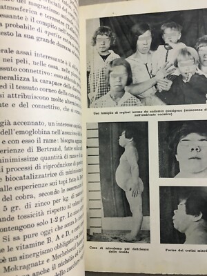 Homo   Roma, Anno 1, N. 12 (Novembre 1941). Medicina, Antropologia E Fascismo