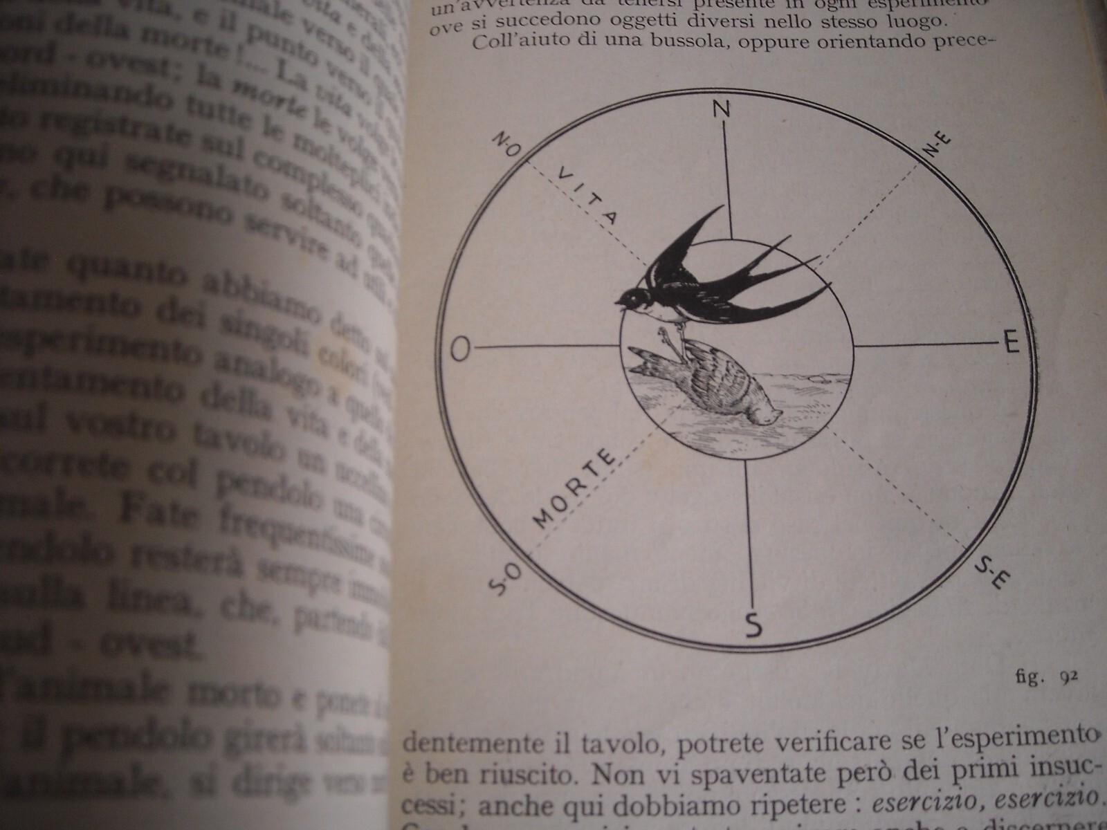 Alceste Grandori, Prodigi Del Pendolo. Esperimenti Di Radiestesia, Ricerca Di Acqua E Tesori
