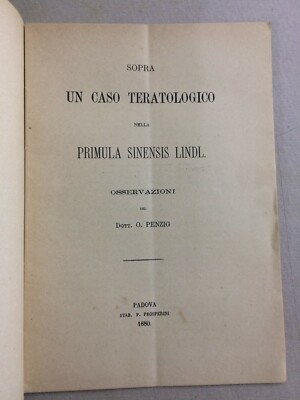 Scienze Naturali: Botanica. Primula Sinensis Lindl. Penzig. Con Due Tavole. Veneto.