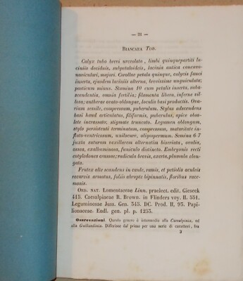 Storia Naturale: Botanica. Piante Dell'Orto Botanico Di Palermo. Todaro, 1860