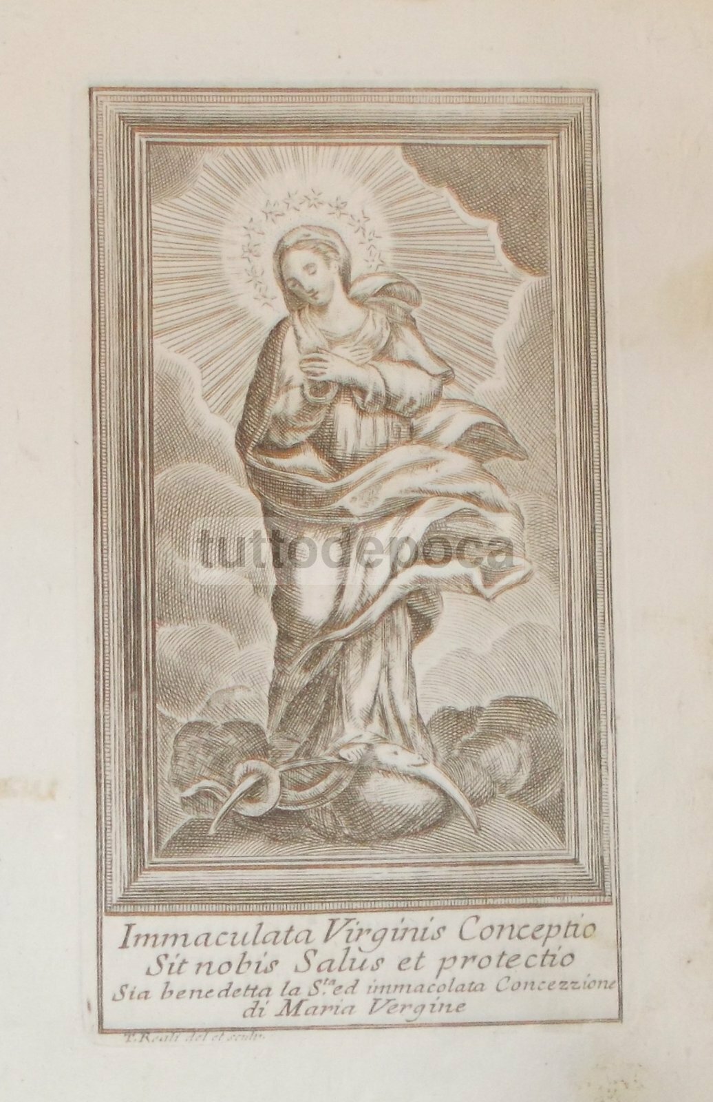 Arte Antica Stampa Popolare Devozionale: Immacolata Concezione   Incisore T. Reali