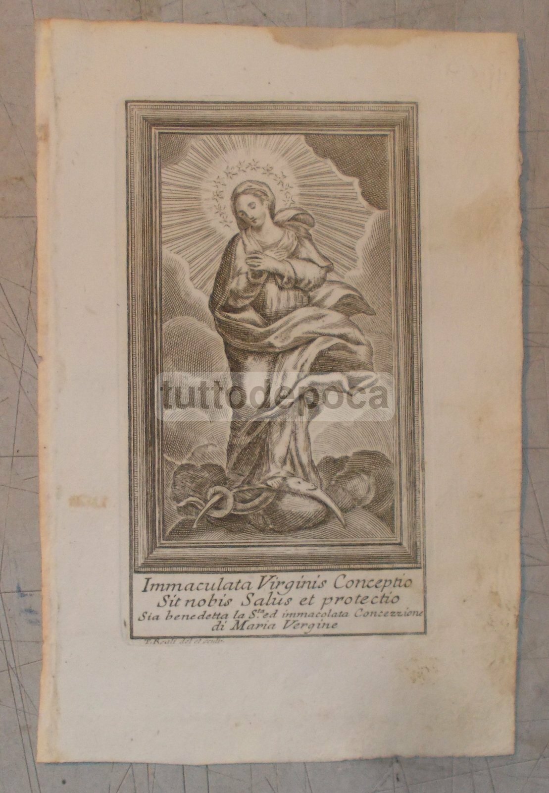 Arte Antica Stampa Popolare Devozionale: Immacolata Concezione   Incisore T. Reali