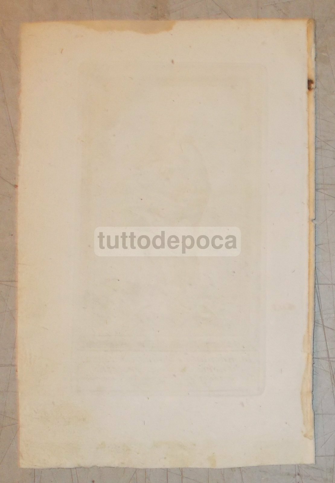 Arte Antica Stampa Popolare Devozionale: Immacolata Concezione   Incisore T. Reali