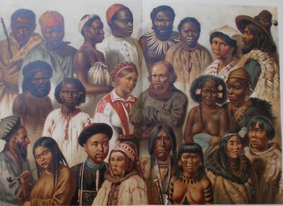 Antropologia: Razze Umane (boscimani, Negriti, Australiani, Mongoli, Eschimesi, Huxley)