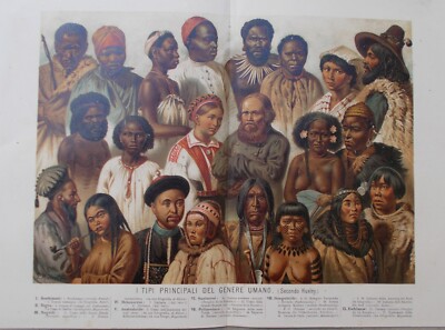 Antropologia: Razze Umane (boscimani, Negriti, Australiani, Mongoli, Eschimesi, Huxley)