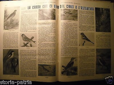 Il Cacciatore Italiano: Raccolta Annuale Illustrata Di Caccia E Pesca, 1938