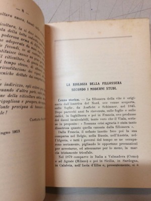 I Problemi Della Nuova Viticoltura (Salvatore Castana, 1918)