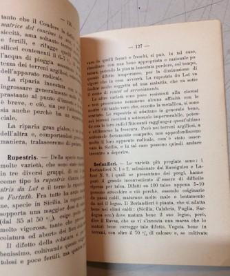 I Problemi Della Nuova Viticoltura (Salvatore Castana, 1918)