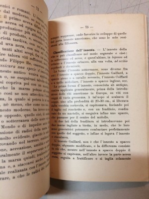 I Problemi Della Nuova Viticoltura (Salvatore Castana, 1918)