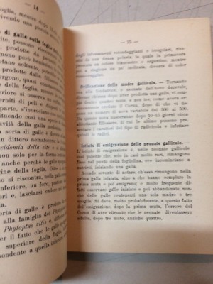 I Problemi Della Nuova Viticoltura (Salvatore Castana, 1918)