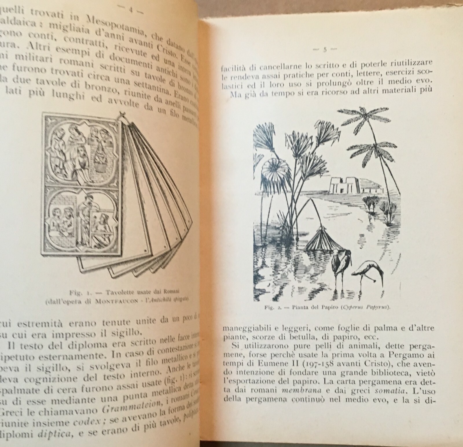 Artigianato, Carta, Cartoni, Pergamena, Cellulosa, Cartapesta: Fabbricazione E Cartiere