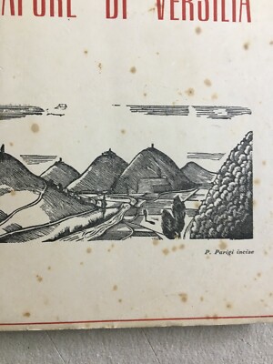 Toscana, Versilia, Artista Pietro Parigi, Letteratura Del '900, Telio Taddei, 1946