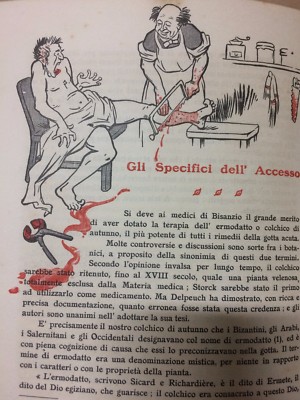 Medicina, Farmacologia, Patologia E Cura Della Gotta: Artistiche Figure Umoristiche
