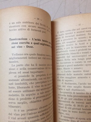 Enologia, Cantina, Botti, Vini, Solfiti, Chimica: Vinificazione Meridionale, 1919