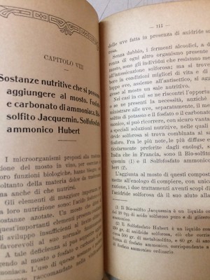 Enologia, Cantina, Botti, Vini, Solfiti, Chimica: Vinificazione Meridionale, 1919