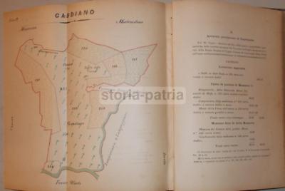 Basilicata, Lavello, Melfi: Mappa Di Gaudiano E Allegazioni Giuridiche Famiglia Fortunato, 1884
