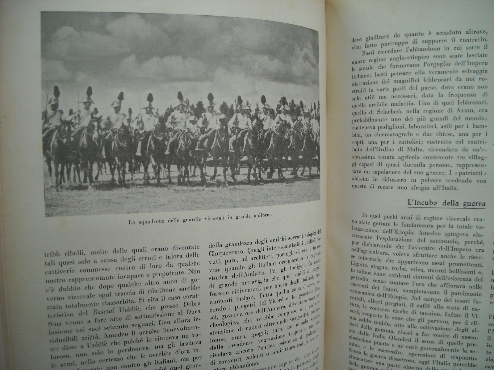 Amedeo Duca d'Aosta: Militaria, Africa, Colonie, Aviazione E Araldica