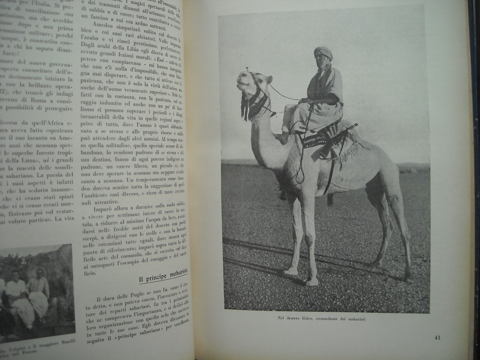 Amedeo Duca d'Aosta: Militaria, Africa, Colonie, Aviazione E Araldica