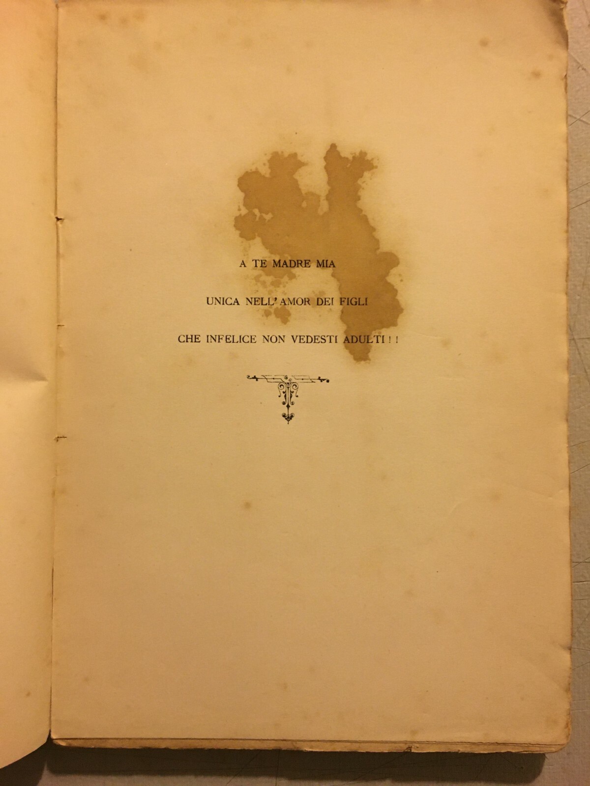 Nicola Ricco: Denunzia Di Nuova Opera E Azione Di Danno Temuto   Bari, 1882